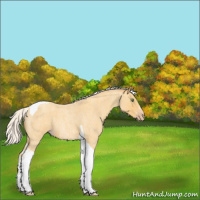 Horse Color:Silver Amber Cream Champagne Roan Tobiano