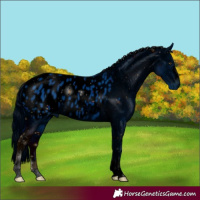 Horse Color:ERROR: UNKNOWN ANOMALY