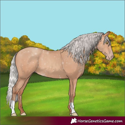 Horse Color:Silver Amber Champagne 