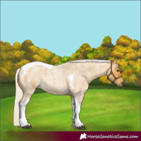 Horse Color:Silver Buckskin Roan Tobiano