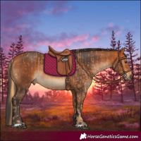 Horse Color:Chestnut  and Bay 