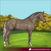 Horse Color:Silver Smoky Black 
