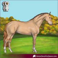 Horse Color:Red Dun 
