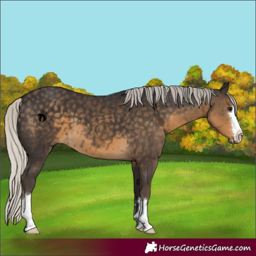Horse Color:Silver Smoky Black 