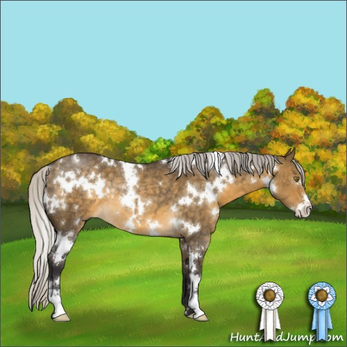 Horse Color:White Spotted Silver Buckskin Dun Sabino Rabicano 