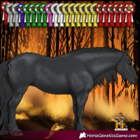 Horse Color:Black 