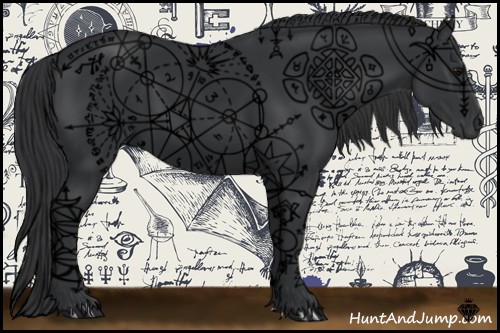 Horse Color:Black 