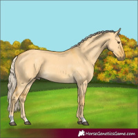 Horse Color:Palomino Dun 