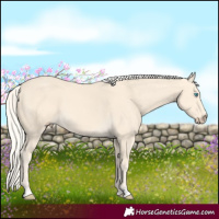 Horse Color:Cremello 