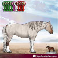 Horse Color:Silver Brown Roan Dun Tobiano