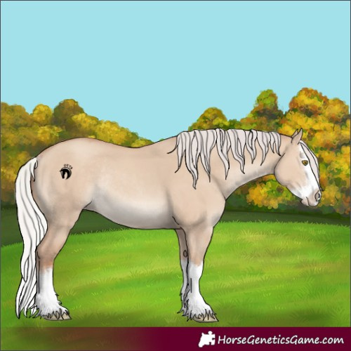 Horse Color:Silver Classic Champagne Dun Splash Rabicano 