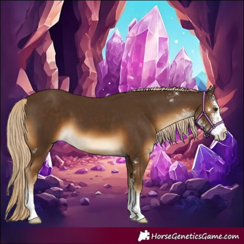 Horse Color:Chocolate Palomino Sabino