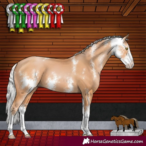 Horse Color:Silver Bay Pearl Sabino 
