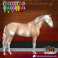 Horse Color:Silver Bay Pearl Sabino 