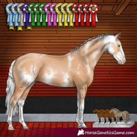 Horse Color:Silver Bay Pearl Sabino 