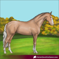 Horse Color:Silver Black Pearl 