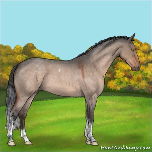 Horse Color:Brown Roan Dun Mushroom Tobiano 