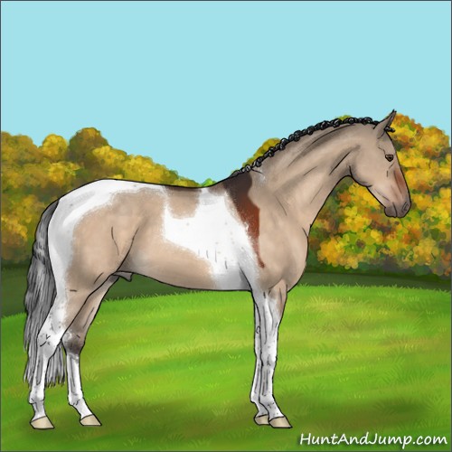Horse Color:Brown Dun Tobiano 