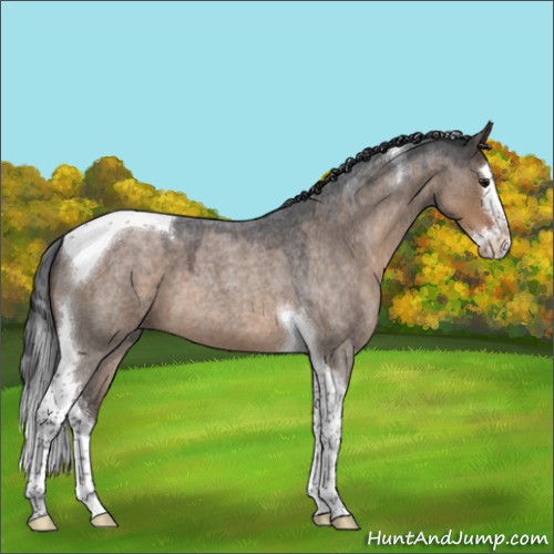 Horse Color:Brown Roan Dun Splash Tobiano 