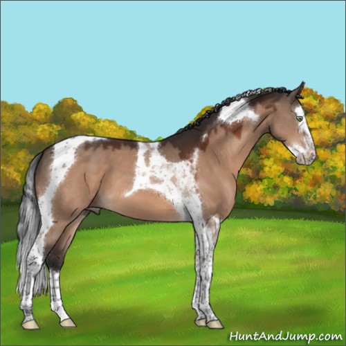 Horse Color:Brown Dun Mushroom Splash Tobiano 