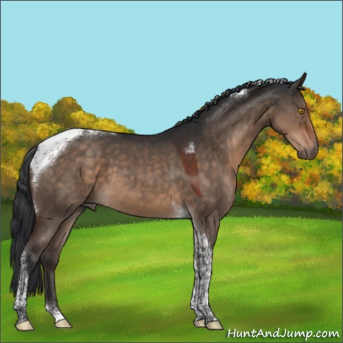 Horse Color:Brown Dun Tobiano 