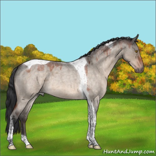 Horse Color:Brown Roan Dun Mushroom Tobiano 