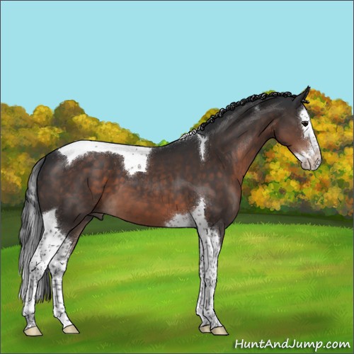 Horse Color:Brown Mushroom Splash Tobiano 