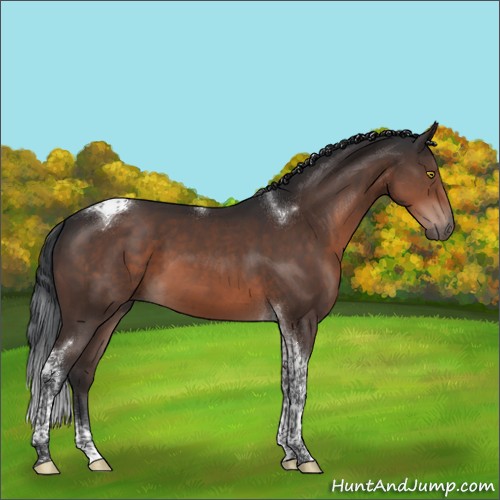 Horse Color:Brown Mushroom Tobiano 
