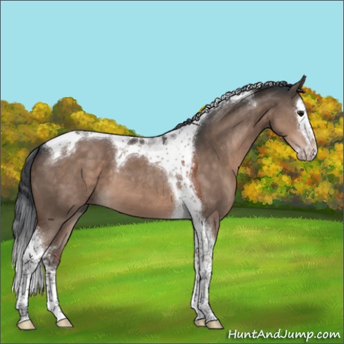 Horse Color:Brown Dun Mushroom Splash Tobiano 