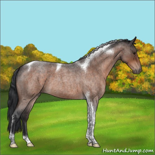 Horse Color:Brown Roan Tobiano 