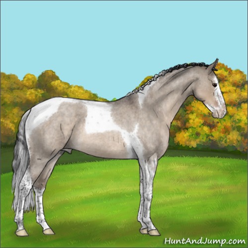 Horse Color:Brown Roan Dun Splash Tobiano 