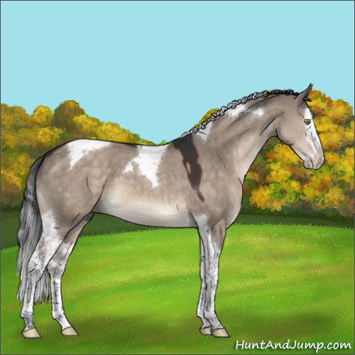 Horse Color:Brown Dun Mushroom Splash Tobiano 