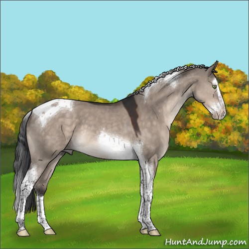 Horse Color:Brown Dun Mushroom Splash Tobiano 
