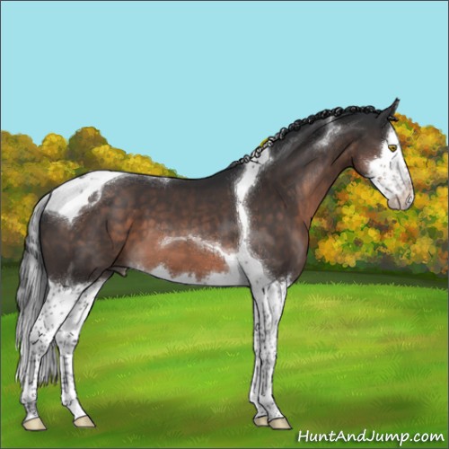 Horse Color:Brown Mushroom Splash Tobiano 