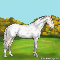 Horse Color:Cremello Sabino Appaloosa  and Cremello Sabino Appaloosa 