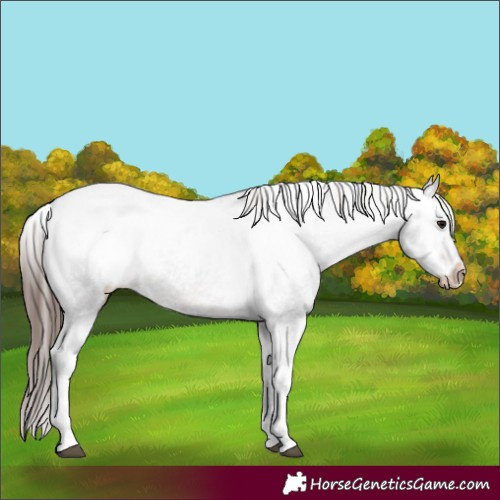 Horse Color:Brown Ice Tobiano Snowcap 