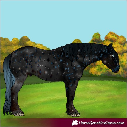 Horse Color:ERROR: UNKNOWN ANOMALY