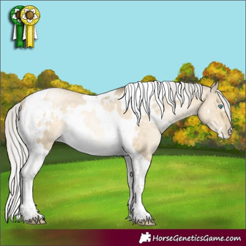Horse Color:White Spotted Silver Buckskin Pearl Dun Tobiano Rabicano 