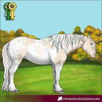 Horse Color:White Spotted Silver Buckskin Pearl Dun Tobiano Rabicano 