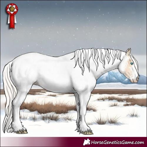 Horse Color:White Spotted Palomino Pearl Dun 