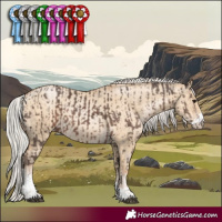 Horse Color:White Spotted Silver Black  and Silver Buckskin Pearl Dun Sabino 