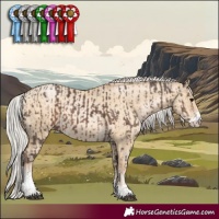 Horse Color:White Spotted Silver Black  and Silver Buckskin Pearl Dun Sabino 
