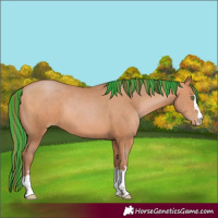 Horse Color:Painted Brown Pearl