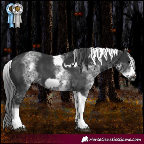 Horse Color:White Spotted Black Tobiano Frame