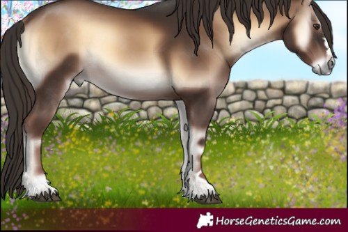 Horse Color:Liver Red Onyx 