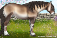 Horse Color:Liver Red Onyx