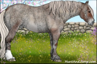 Horse Color:Silver Blue Onyx Ice Roan 