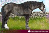 Horse Color:Blue Onyx Ice