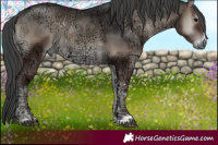 Horse Color:Blue Onyx Ice