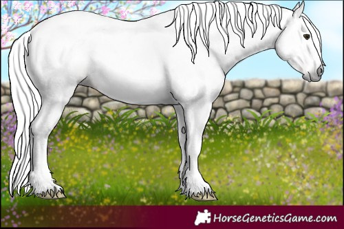 Horse Color:Gray White Spotted Silver Bay Tobiano 